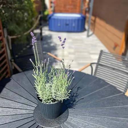 Goosehaus Z Prywatna Sauna I Jacuzzi Villa Gąski