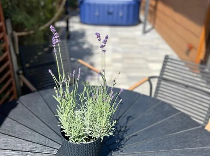 Goosehaus Z Prywatna Sauna I Jacuzzi Villa Gąski